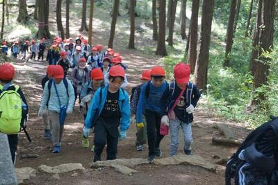 山登り